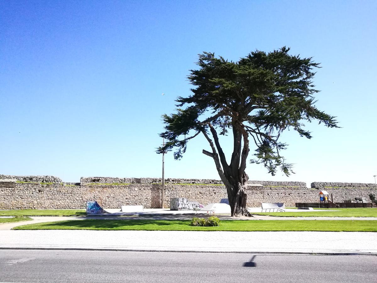 Peniche's Blue & White *